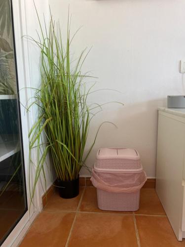 a bathroom with two plants next to a door at Circus-Goretti House in Mairena del Aljarafe