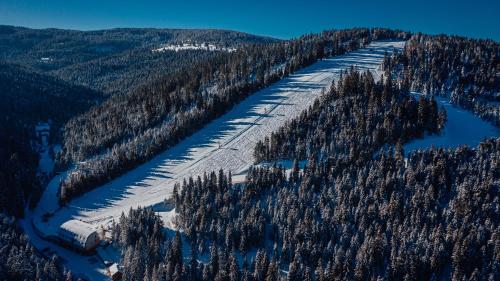 an aerial view of a snow covered forest with a river at Oravský Háj Garden Hotel & Resort in Trstená