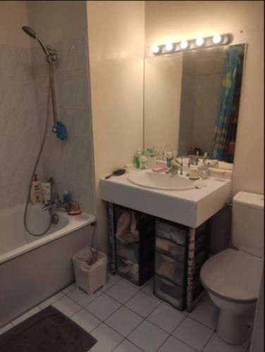La salle de bains est pourvue d'un lavabo, de toilettes et d'un miroir. dans l'établissement Chambre chez l'habitant en rooftop, à Ivry-sur-Seine