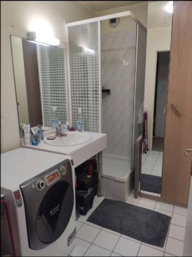 La salle de bains est pourvue d'un lavabo et d'une douche. dans l'établissement Chambre chez l'habitant en rooftop, à Ivry-sur-Seine