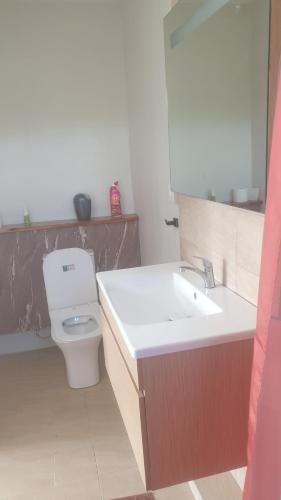 a bathroom with a white toilet and a sink at Mangues Oasis in Rodrigues Island