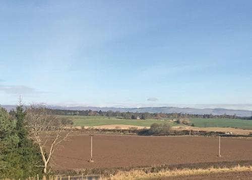 un campo agrícola con un campo de tierra y árboles en Beech Hedge, en Coupar Angus