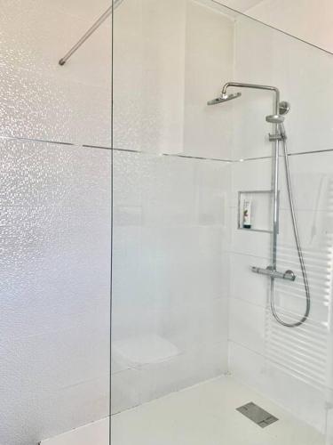 une douche avec une porte vitrée dans une salle de bain dans l'établissement appartement moderne et lumineux, à Clamart