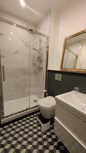 une salle de bain avec une douche, des toilettes et un lavabo dans l'établissement Joli studio dans maison de maître, à Collonges-au-Mont-dʼOr