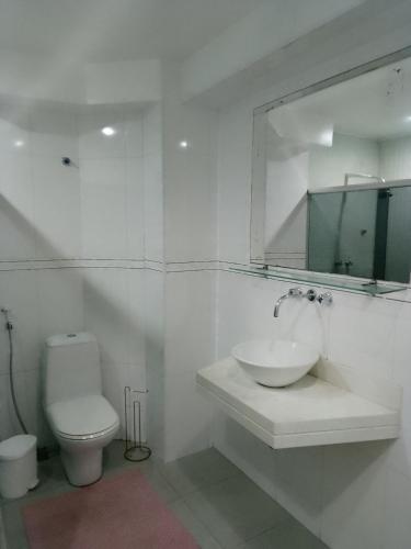里约热内卢Apartamento com 187m2 três quartos, quadra da praia de Copacabana.的带水槽、马桶和镜子的浴室