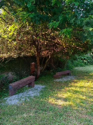 two benches sitting in the grass under a tree at Chalé Sol de Primavera in Arujá