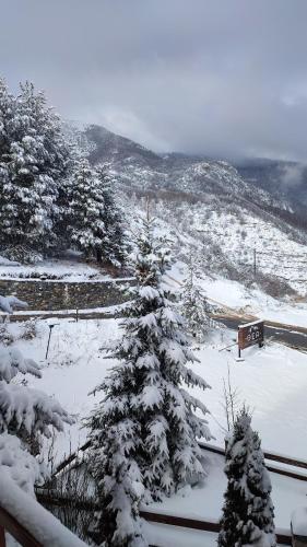 a snow covered yard with trees and a street sign at ΞΕΝΩΝΑΣ ΘΕΑ in Palaios Agios Athanasios