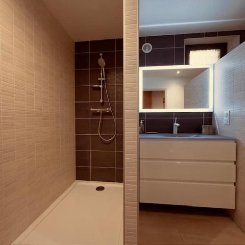 a bathroom with a shower and a sink and a mirror at LE NID ROUDELA in Garin