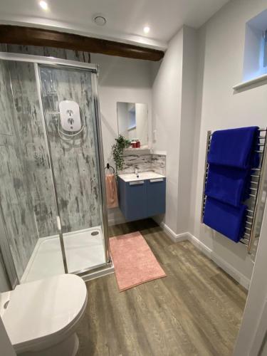 a bathroom with a shower and a toilet and a sink at The Old Barn one bedroom apartment in Overton in Overton