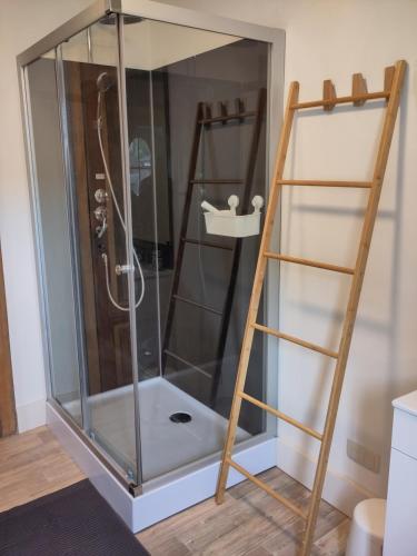 a shower with a glass enclosure next to a ladder at Le Patenier in Dinant