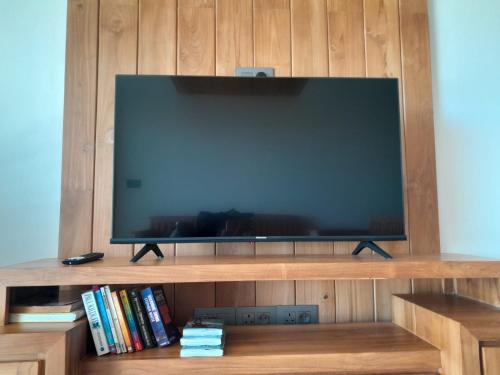 TV de pantalla plana en una estantería de madera con libros en Paille en Queue apartment en Grand Baie