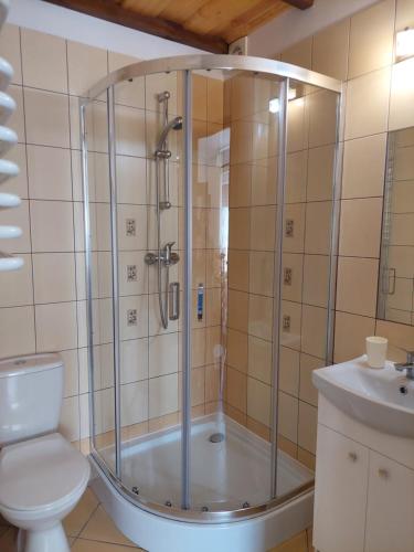 y baño con ducha, aseo y lavamanos. en Domek nad Krutynią, en Piecki