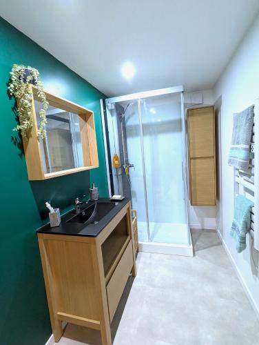 a bathroom with a sink and a shower at Gîte - Chez Gabriel et Julie in Viviers