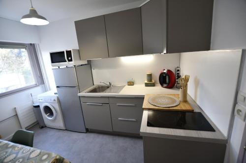 Il comprend une petite cuisine équipée d'un évier et d'un lave-vaisselle. dans l'établissement Cocon & Cosy Annecy, à Annecy