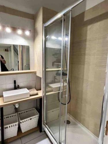 une salle de bain avec une douche en verre et un lavabo dans l'établissement Maison calme et cosy aux portes de Paris, à Ivry-sur-Seine