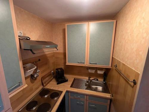 uma pequena cozinha com um lavatório e um fogão em 30qm Wohnung in Hainburg em Hainburg