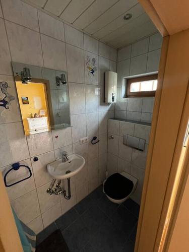 uma casa de banho com um lavatório e um WC em 30qm Wohnung in Hainburg em Hainburg