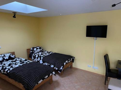 2 camas en una habitación con TV en la pared en 30qm Wohnung in Hainburg en Hainburg