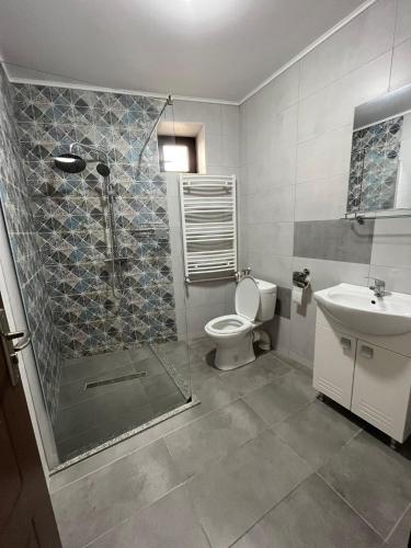 a bathroom with a shower and a toilet and a sink at Solaria Apartment in Galaţi