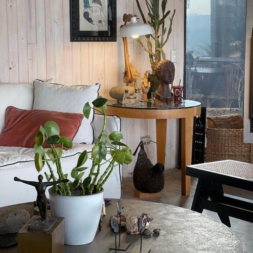 a living room with a bed and a table with a plant at Vista al mar. Tunquen in Valparaíso
