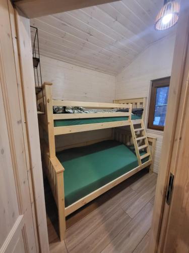 a bedroom with two bunk beds in a tiny house at Dzik w zagrodzie in Borsk