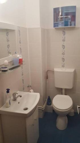 uma casa de banho com um WC branco e um lavatório. em Three room apartment em Cluj-Napoca