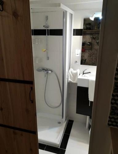 een badkamer met een douche en een wastafel bij Studio centre historique in Arles