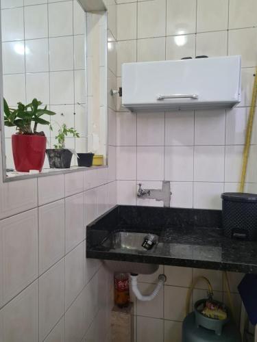a bathroom with a sink and a window and a plant at Apto boqueirão Praia Grande 800 MTS Praia in Praia Grande
