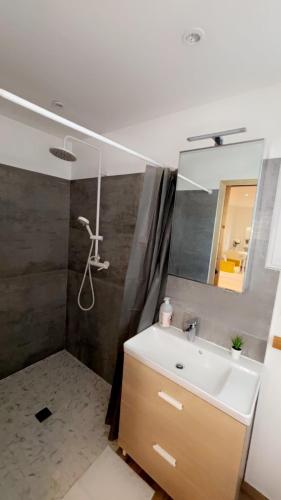 Bilik mandi di Chambre le Petit Olivier
