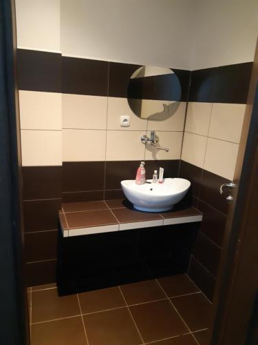 Koupelna v ubytování Apartment Pharamis