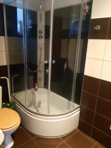 a shower in a bathroom with a toilet at Apartment Pharamis in Bešeňová