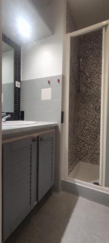 une salle de bain avec un lavabo et une douche dans l'établissement F1 - 8MIN DE LA PLAGE - 5MIN TRAMWAY, à Nice