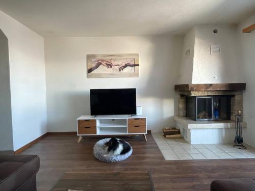 una sala de estar con TV de pantalla plana y un gato en el suelo en 3-Zimmer Maisonette-Wohnung, en Bürchen