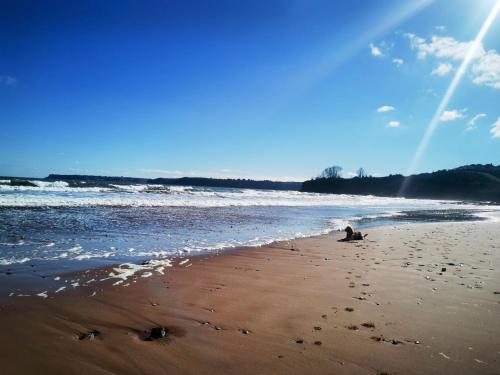 a person sitting in the sand on the beach at High Gables Apartment 2 in Paignton