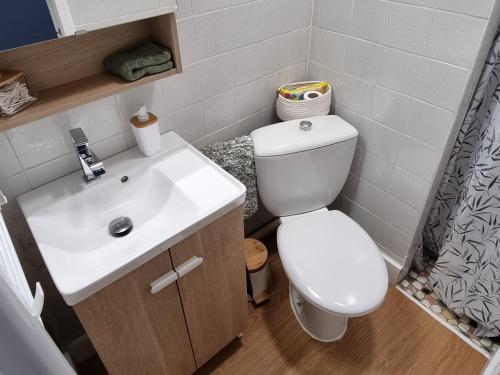 een badkamer met een wit toilet en een wastafel bij Les Castors in Carcassonne