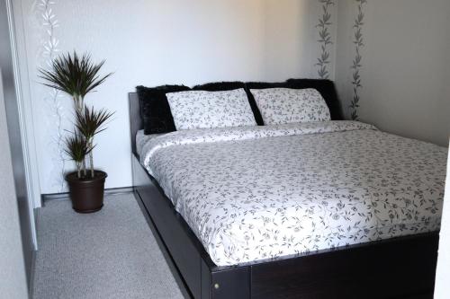 Un dormitorio con una cama con una planta. en Valmiera, en Valmiera