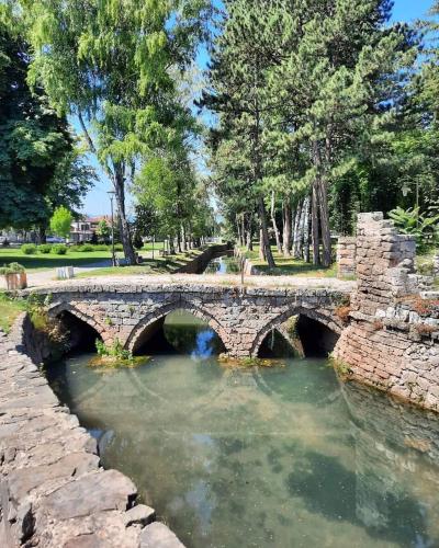 a stone bridge over a river in a park at Black and White in Pirot