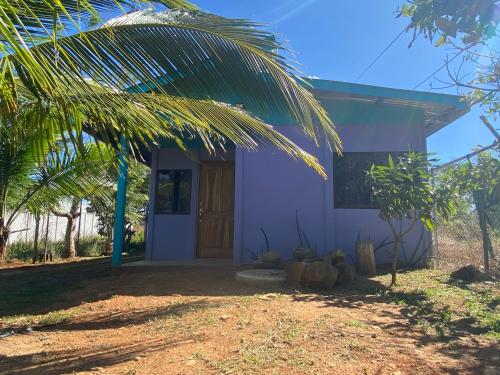 Casa Púrpura – Photos 5
