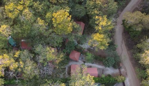 una vista aérea de una carretera en un bosque en Aura Bungalow, en Tamarindo