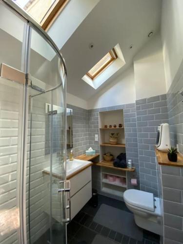 une salle de bain avec une douche, un lavabo et des toilettes dans l'établissement Le Château de John Miles au bord de l’eau, à Sucé-sur-Erdre