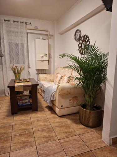 a bedroom with a bed and a table with a plant at Apartament Florina in Râmnicu Vâlcea