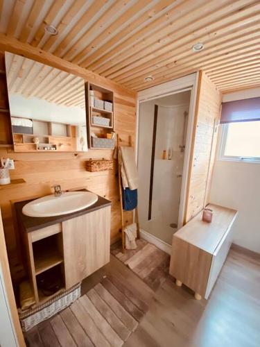 une salle de bain avec un lavabo et une douche dans l'établissement Mobilhome 45m2, à Roquebrune-sur Argens