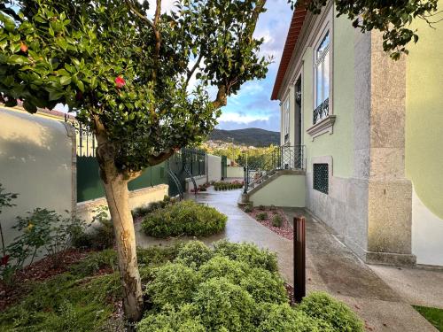 una pasarela entre dos edificios con un árbol en Casa Brandao, en Vale de Cambra