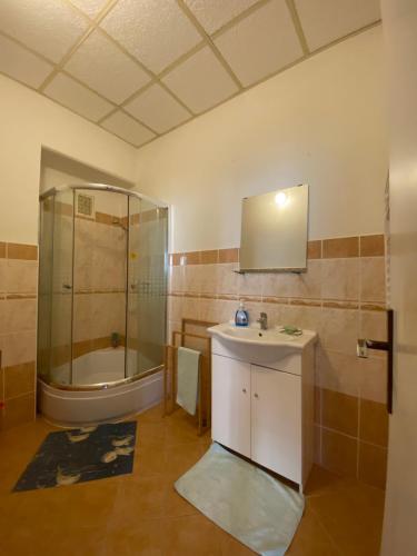 y baño con lavabo, ducha y bañera. en Apartmán na Bohdašíně en Červený Kostelec