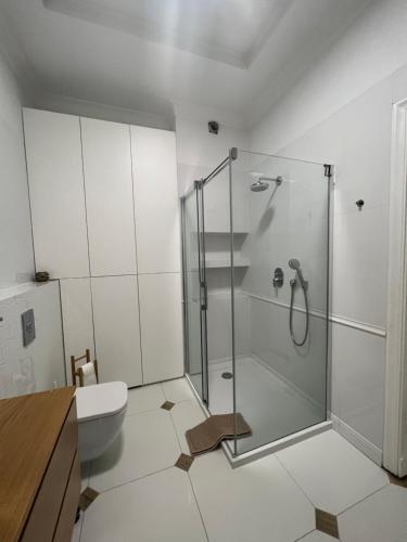 a bathroom with a glass shower and a toilet at Apartament Wólczańska w stylu nowojorskim in Łódź
