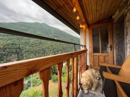 a dog sitting on the porch of a house at Cà d’la Giannina • local experience Valle Antrona in Pallanzeno