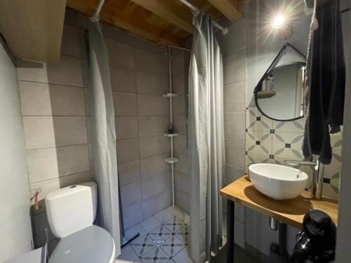 La salle de bains est pourvue de toilettes, d'un lavabo et d'une douche. dans l'établissement La maison du bonheur "Le petit Four", à Saint-Ouen-sous-Bailly