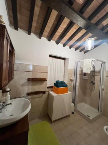 a bathroom with a sink and a shower at B&B Fontanelle in Alviano