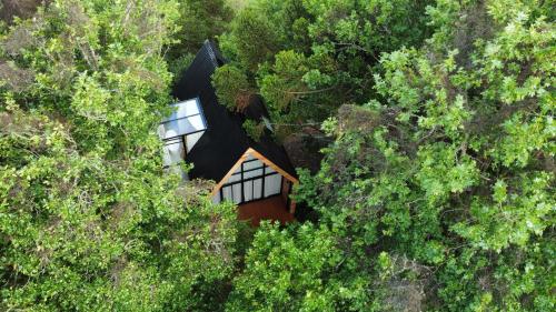 uma vista superior de uma casa no meio das árvores em Cabanas Jardim de Tereza em São Joaquim