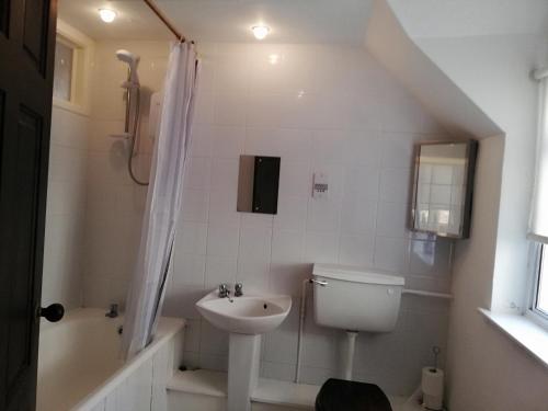 ein weißes Bad mit einem Waschbecken und einem WC in der Unterkunft Toad Hall in Ludlow